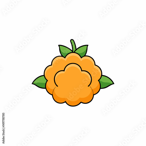 vector illustration of an orange fruit