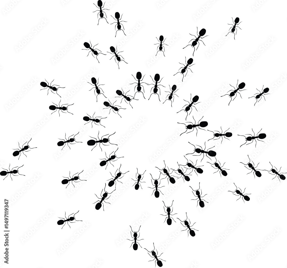 Obraz premium Black ants circle border. Ants forming round shape isolated in white background. Vector illustration