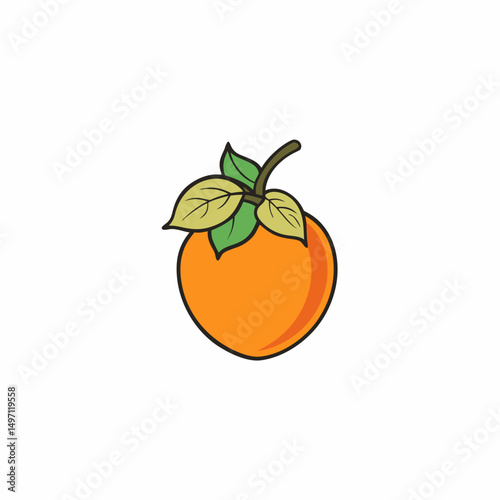 vector illustration of an orange fruit