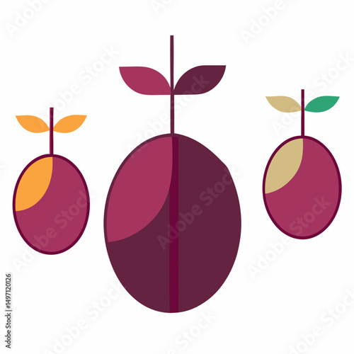 vector illustration of ripe plums