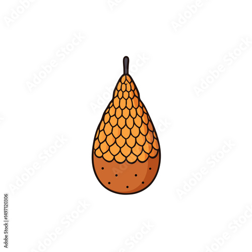 pear on a white background