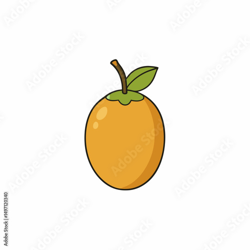 vector illustration of an orange fruit