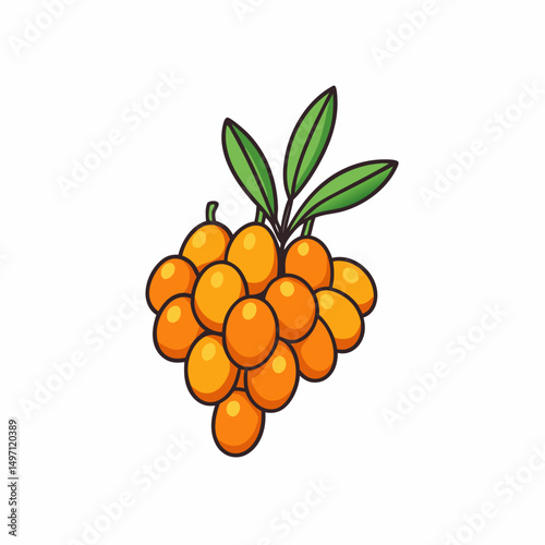 vector illustration of ripe orange with leaves isolated