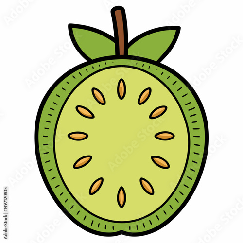 vector illustration of an apple
