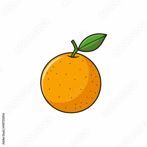 orange fruit vector illustration