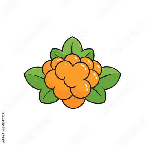 vector illustration of an orange fruit