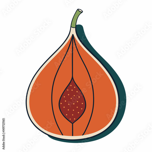 vector illustration of an orange fruit