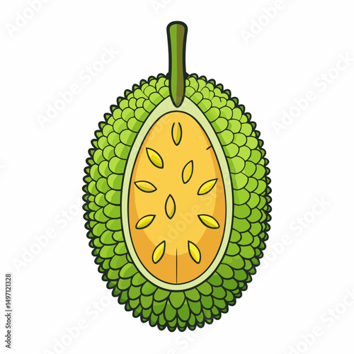 vector illustration of a kiwi fruit