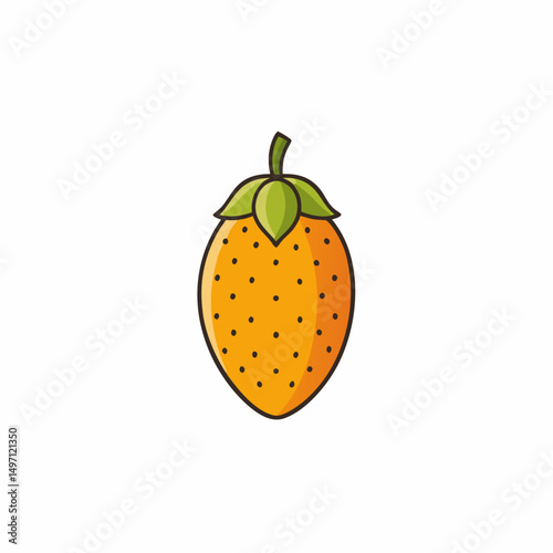 vector illustration of an orange fruit