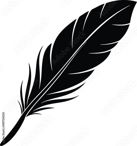 bird feather silhouette vector 