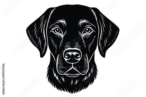 Isolated portrait of a cute black Labrador retriever dog