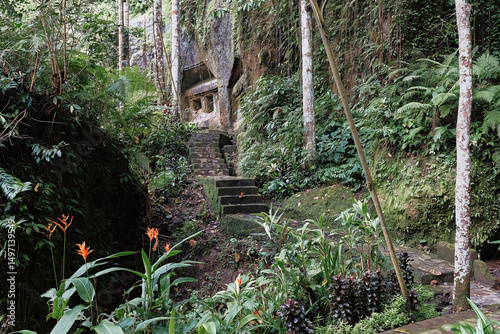 Explore hidden paths in lush Bali jungle with stone steps and vibrant flora