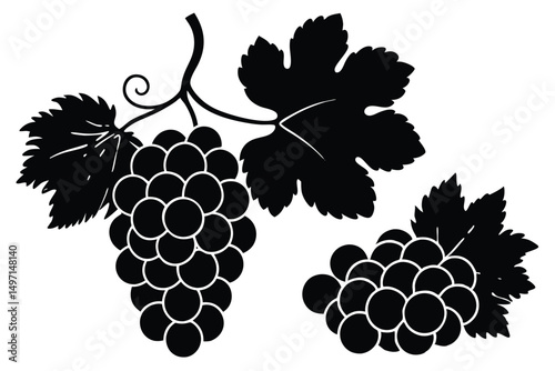 A vector illustration of a bunch of ripe grapes on a vine with green leaves, perfect for fruit and wine designs