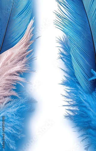 blue feather on white background