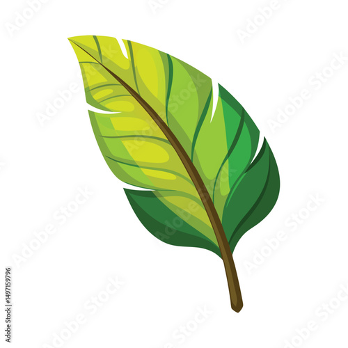 Green banana leaf vector tropical leaves summer plant organic nature illustration art graphic design island paradise beach holiday travel summer season vacation jungle natural tree vegan outline