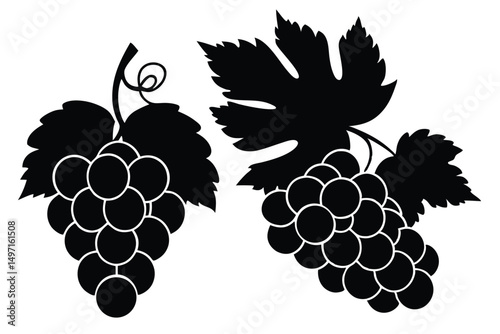 A vibrant vector illustration of a ripe bunch of grapes on a vine with lush green leaves, perfect for designs related to fruit, wine, or nature's sweet harvest