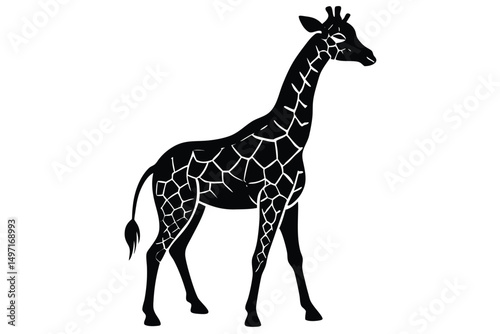 Long-necked brown giraffe isolated on a white background