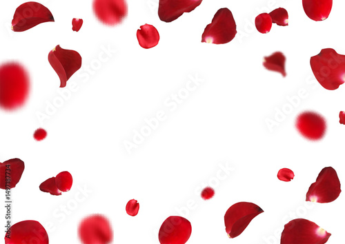 Rose petal flying petals, romantic background with realistic red flower petals flow or falling motion. Romantic background, love wedding banner copy space on white background