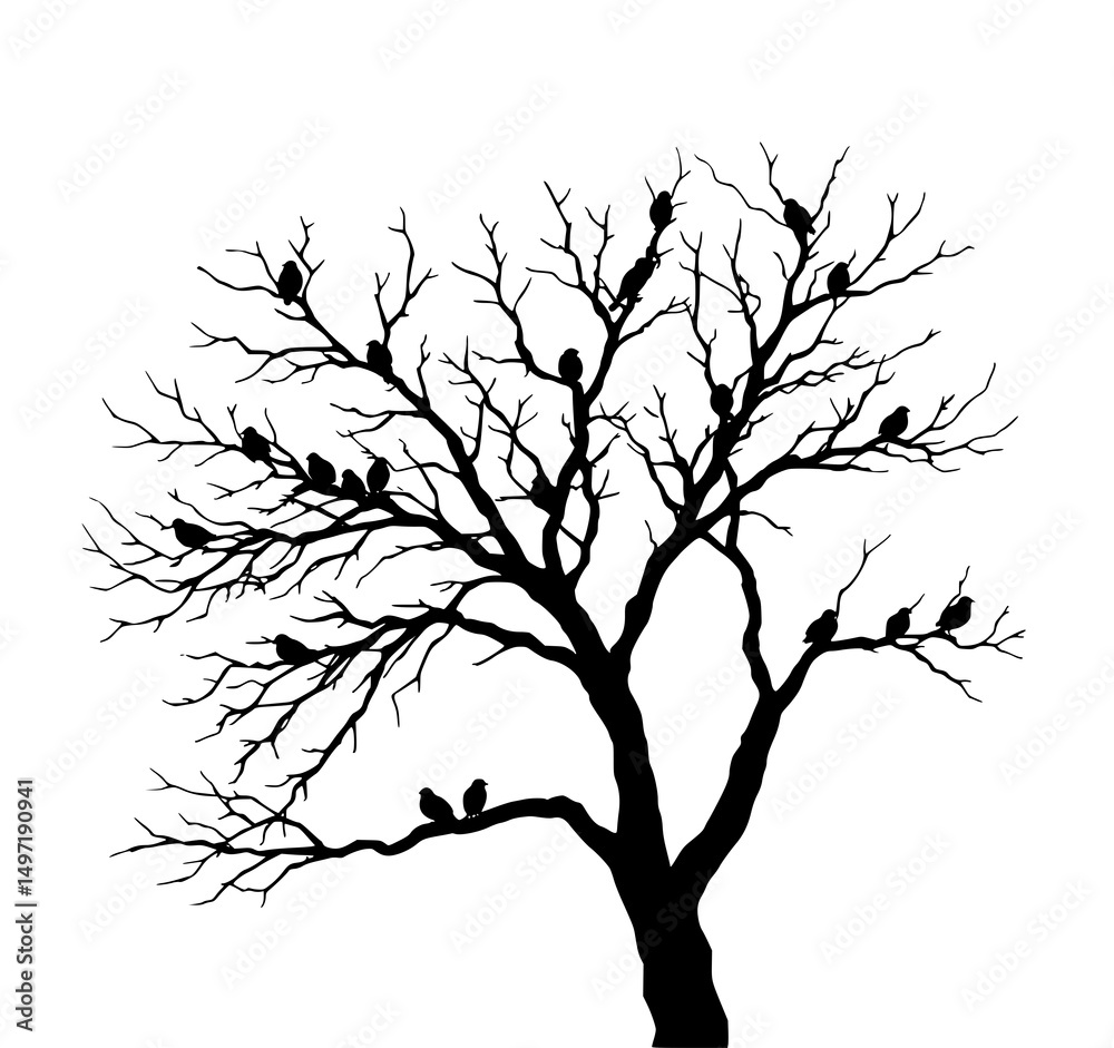 Fototapeta premium Shadowy Silhouette: A stark silhouette of a bare tree, its branches reaching skyward. A gathering of birds perch, their forms adding contrast and intrigue.