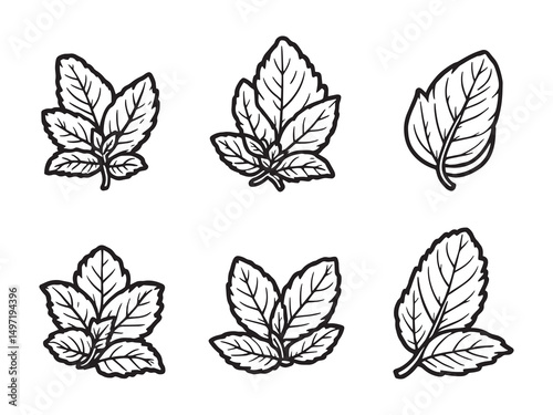 Mint Leaf Simple Outline Drawing