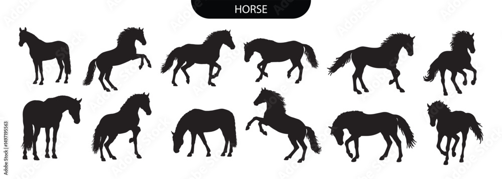 Fototapeta premium Horse Silhouette. Horse Animal Silhouettes Set in Various Black Vector Movements and Poses