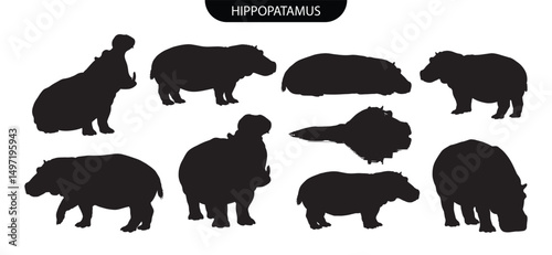 Hippopotamus silhouette. Set of black hippopotamus animal vector silhouettes in walking, standing, and resting poses for river wildlife illustrations