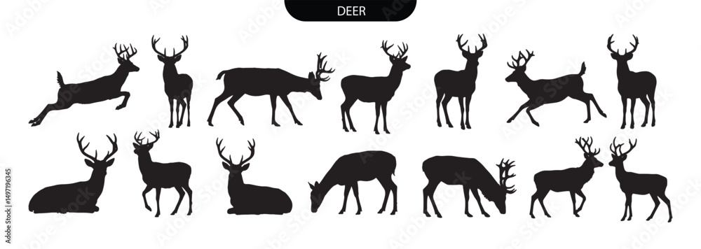 Deer Silhouette Vector Set of Wild Forest Deer in Natural Poses for Design and Nature Illustration Deer Silhouette Vector Set of Wild Forest Deer in Natural Poses for Design and Nature Illustration