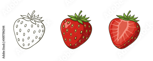 Three distinct cartoon strawberry illustrations showing an outline, a full fruit, and a half-cut view