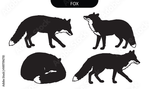 Fox Silhouette. Fox Animal Silhouettes Set in Various Black Vector Poses