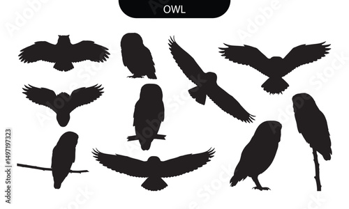 Owl Silhouette Set Vector of Nocturnal Birds in Flight and Perched Positions