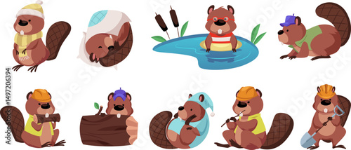 Cute beavers collection, vector cartoon wild rodent animal gnawing wood trunk, floating in pond, sleeps, builder worker