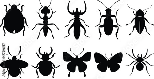 Assorted insect silhouettes featuring ants, butterflies, and beetles – black vector set