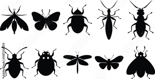 Black vector insect silhouettes featuring moths, butterflies, and flies – graphic icons