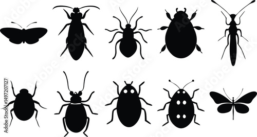Insect silhouette collection with beetles, bugs, and butterflies – black vector set