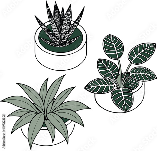Indoor Potted Plants Illustration – Houseplant Collection in Minimal Style