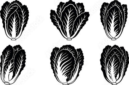 Six black and white illustrations of napa cabbage heads