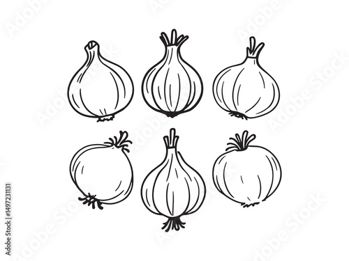 Onion Simple Line Drawing