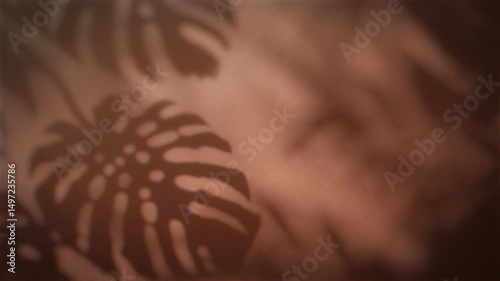 4K Seamless loop of monstera leaf shadows on warm blurred surface, natural light overlay with copy space, tropical foliage animation background for motion graphics, ambient design, branding content