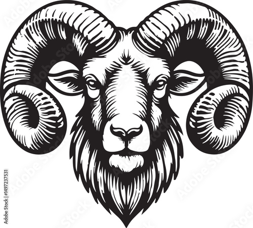 Ram head vector line art