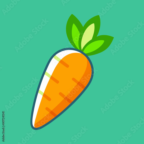 vector illustration of an orange fruit