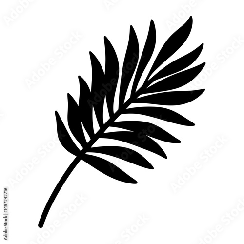 Elegant Black Silhouette of a Tropical Palm Frond Against White Backdrop