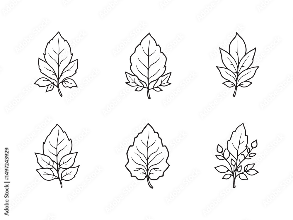 Fototapeta premium Rose Leaf Outline Drawing Vector