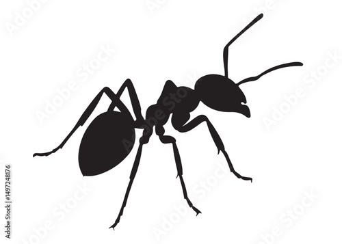ant logo vector silhouette illustration, vector illustration of ant logo icon design, vector of a black silhouette ant, black ant silhouette isolated on white background.