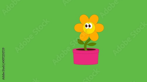draw plantation of sunflower with stem and leaves in pair of pink flowerpot on green background
