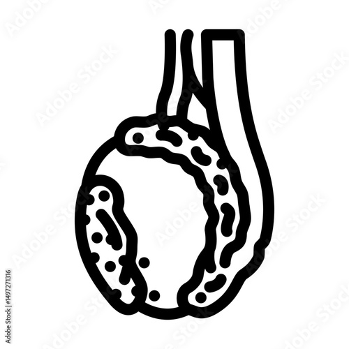 testicular cancer urology line icon vector illustration