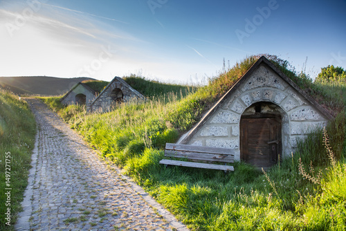 Cuadro en lienzo wine cellars in Tokaj region - Hercegkut Sarospatak Hungary