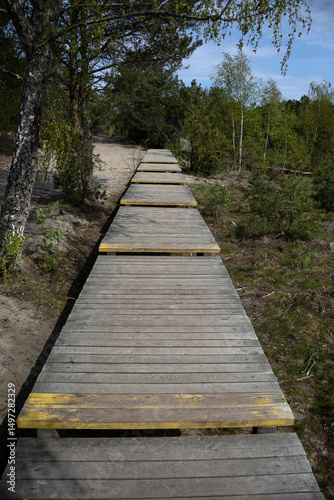 Wallpaper Mural A quiet wooden path winds through a pine forest, drawing the eye toward the soft green horizon. Nature and structure merge in this peaceful, moody woodland scene. Torontodigital.ca