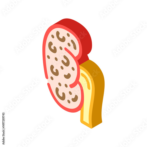renal failure urology isometric icon vector illustration