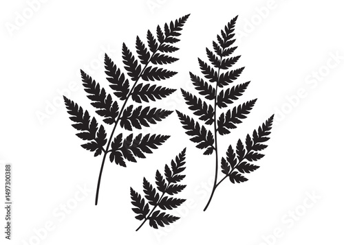 fern leaves logo vector silhouette illustration, fern leaf logo icon silhouette, bracken fern leaf silhouettes vector illustration, black silhouette of a fern leaf on white background.