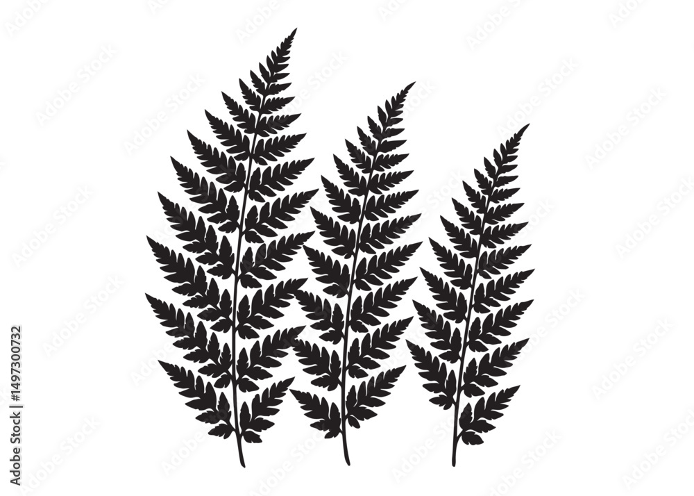 fern leaves logo vector silhouette illustration, fern leaf logo icon silhouette, bracken fern leaf silhouettes vector illustration, black silhouette of a fern leaf on white background.